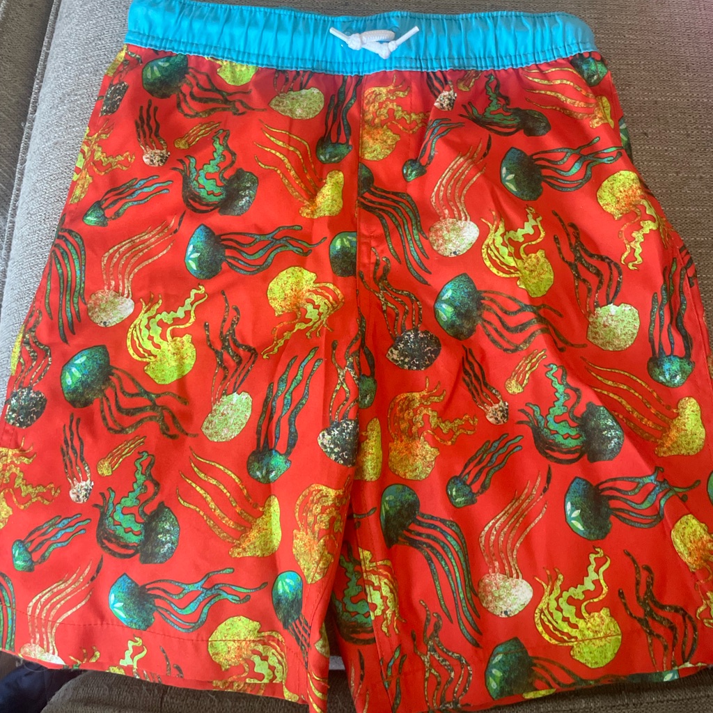 Swim Trunk Boys New No Tags Swim Trunk Boys New No Tags